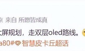 华为Pura 80系列再次被确认：双层OLED技术，依旧是大屏规划！